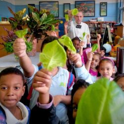StephenRitz-classroom-lettuce-children