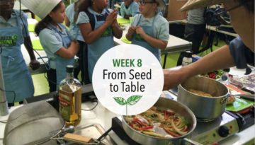 From Seed to Table