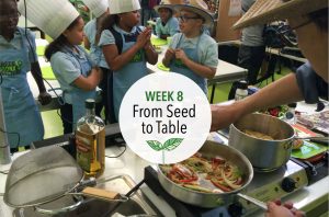 From Seed to Table