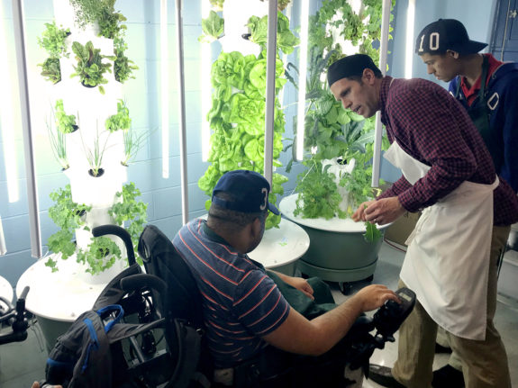 Green Bronx Machine designed, built, and continues to support the first year-round, wheelchair-accessible urban farm and culinary training kitchen in the nation. Modeled after The National Health, Wellness & Learning Center, this unique and 100% accessible classroom allows special needs students...