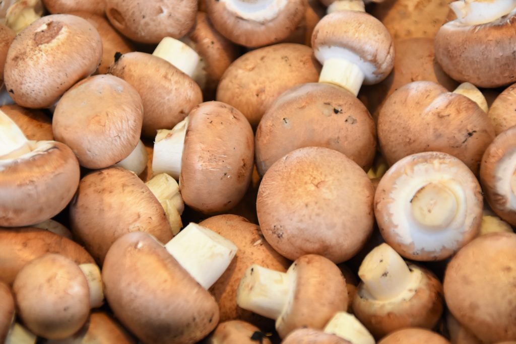 Mushroom Risotto