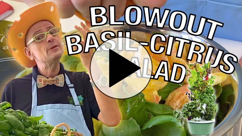 Blowout-Basil-Citrus-Salad