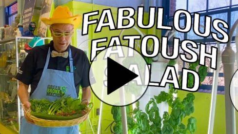 NEW RECIPE! Fabulous Fatoush Salad!