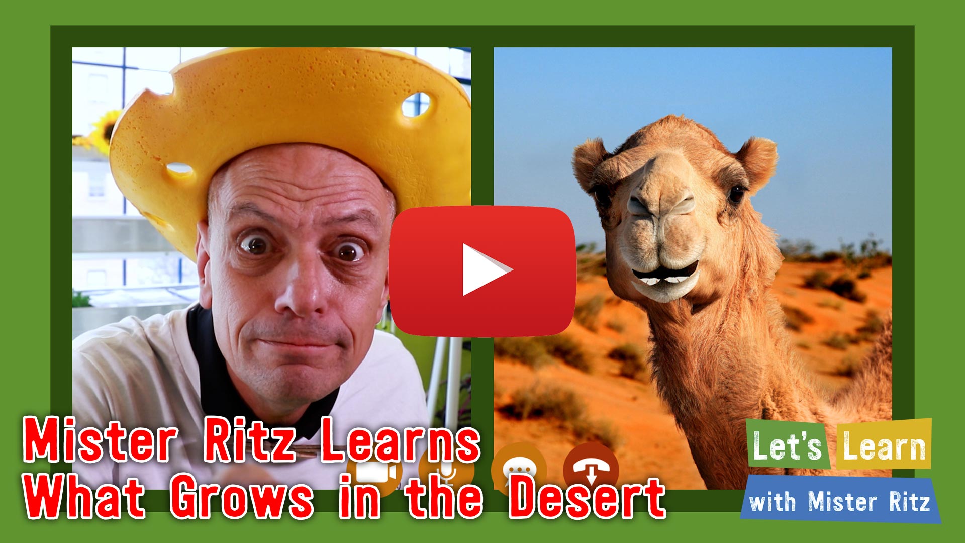Two New Episodes Live From UAE – The Green Shiekh and Growing Food in the Desert