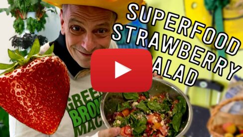 Tower to Table to Tummy: Superfood Strawberry Salad – Premieres Today!