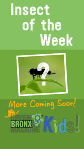 More Coming Soon!