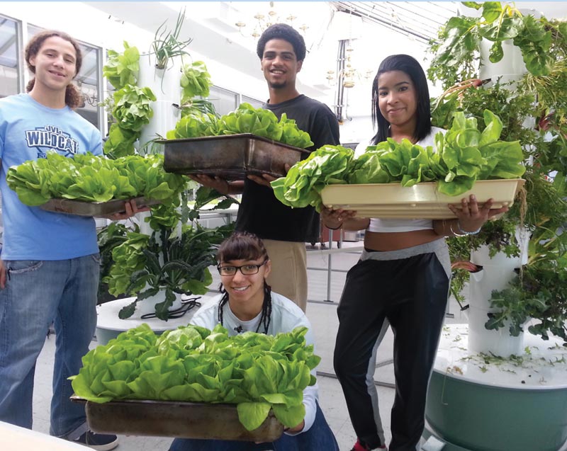 Green-Bronx-Machine-Happy-Healthy-Children-03