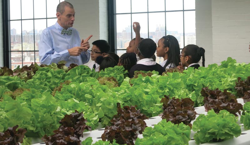 Green-Bronx-Machine-Happy-Healthy-Children-10 Green-Bronx-Machine-Happy-Healthy-Children-10